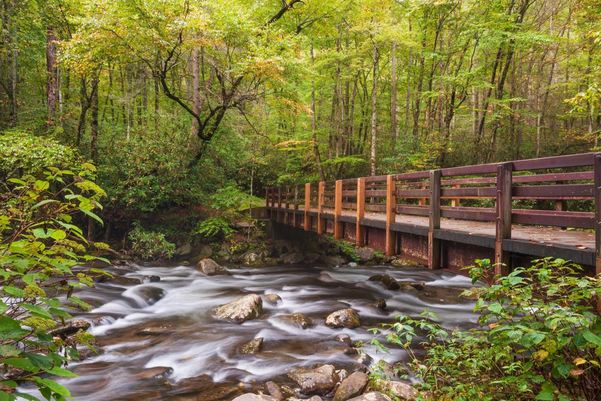 Apple Valley Hideaway, 1089 Of Free Attraction Tickets For Each Paid Day, Dollywood And More! Pigeon Forge Buitenkant foto