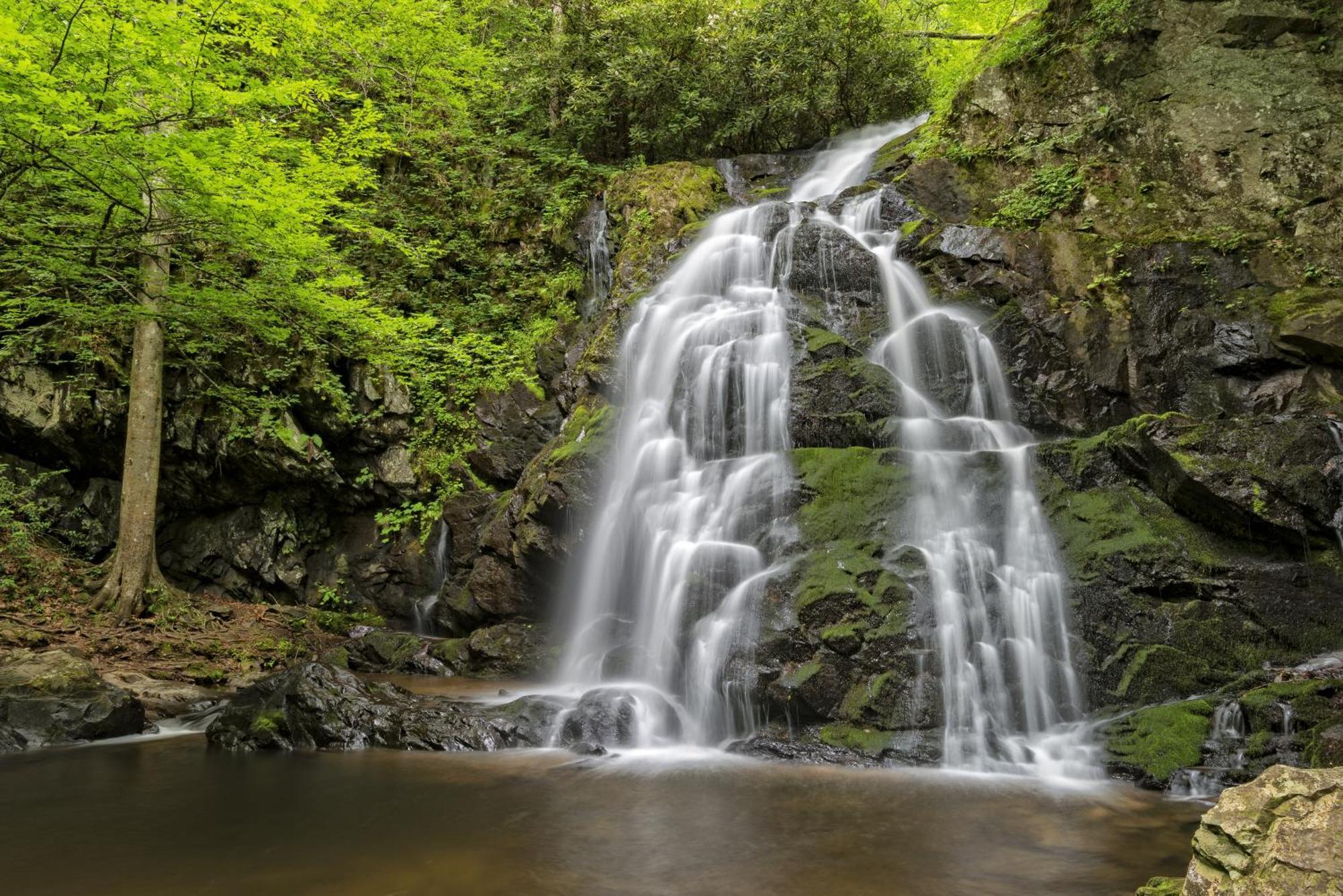 Apple Valley Hideaway, 1089 Of Free Attraction Tickets For Each Paid Day, Dollywood And More! Pigeon Forge Buitenkant foto
